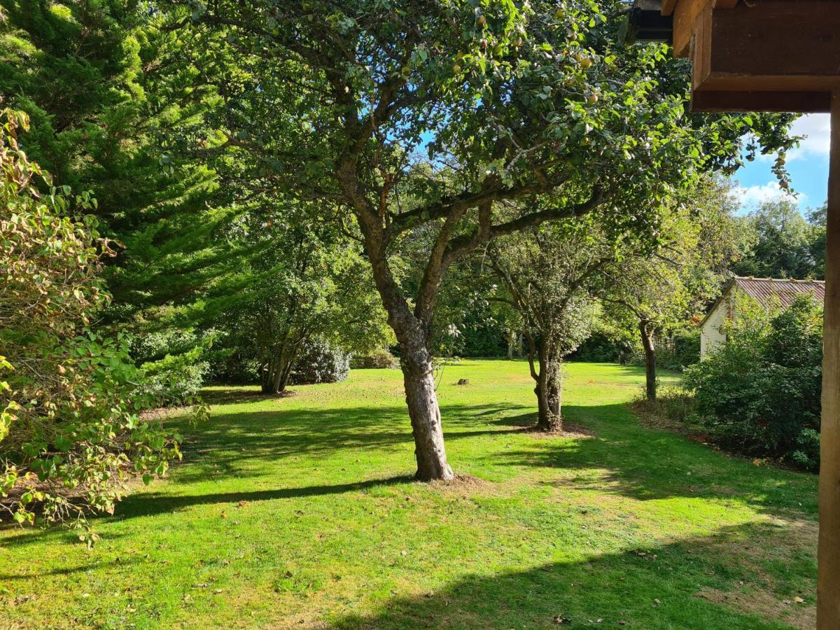 The Reading Whole Chalet With Lake And Two Acre Gardens Экстерьер фото